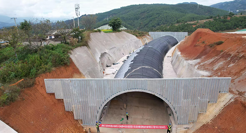 微信圖片_20260301173301_39_162 副本.jpg